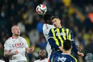 Spor yazarları Fenerbahçe