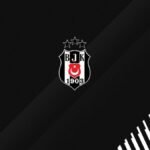 Jimnastikte 29 madalya