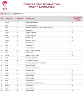 TFFnin açıkladığı dört büyüklerin kadro listeleri