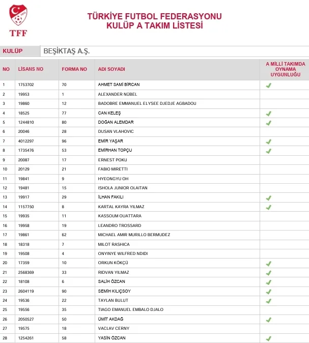 TFFnin açıkladığı dört büyüklerin kadro listeleri